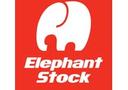 Elephant Stock